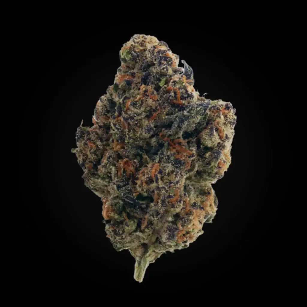 Dense exotic cannabis bud showing purple colouration and heavy trichome coverage — Gelato Cake genetics