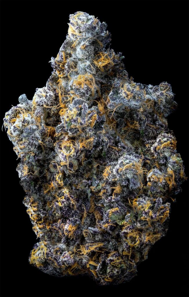 Jealousy cannabis seeds Australia — dense purple bud with heavy trichome coverage and orange pistils, Seed Junky Genetics