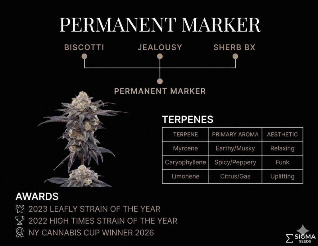 Permanent Marker cannabis strain infographic showing Biscotti Jealousy Sherb BX lineage, terpene profile and awards — Sigma Seeds Australia