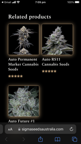 Auto Blackberry Moonrocks Cannabis Seeds photo review