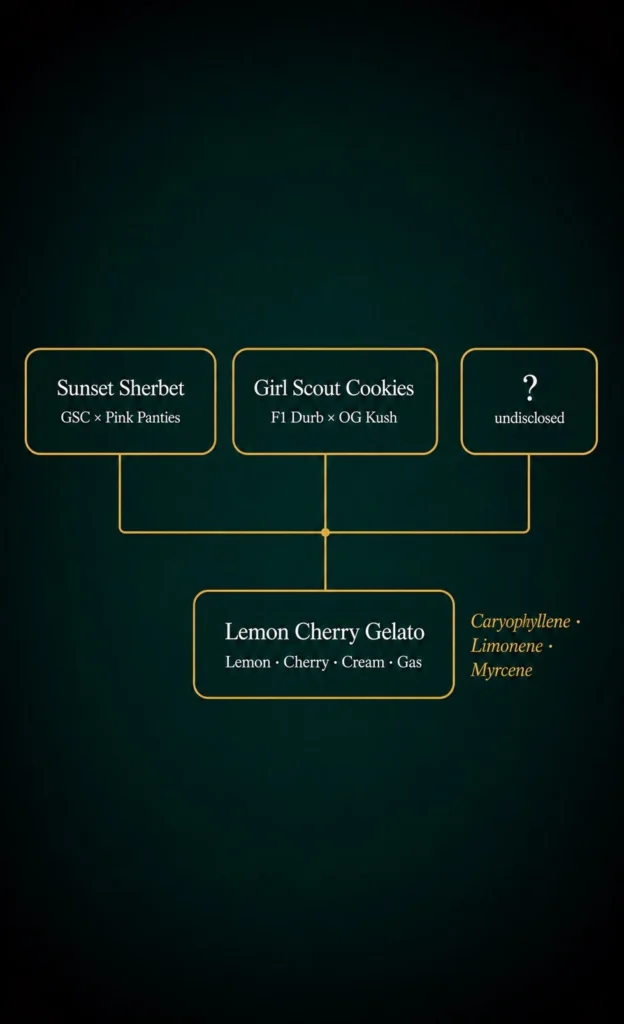 Lemon Cherry Gelato lineage diagram — Sunset Sherbet × Girl Scout Cookies family tree showing parent genetics and terpene output | Sigma Seeds Australia