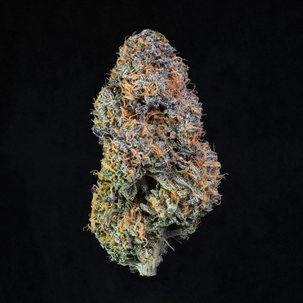 Lemon cherry gelato bud