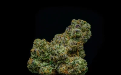 Wedding Cake Strain Review: The Real Triangle Mints #23 Story