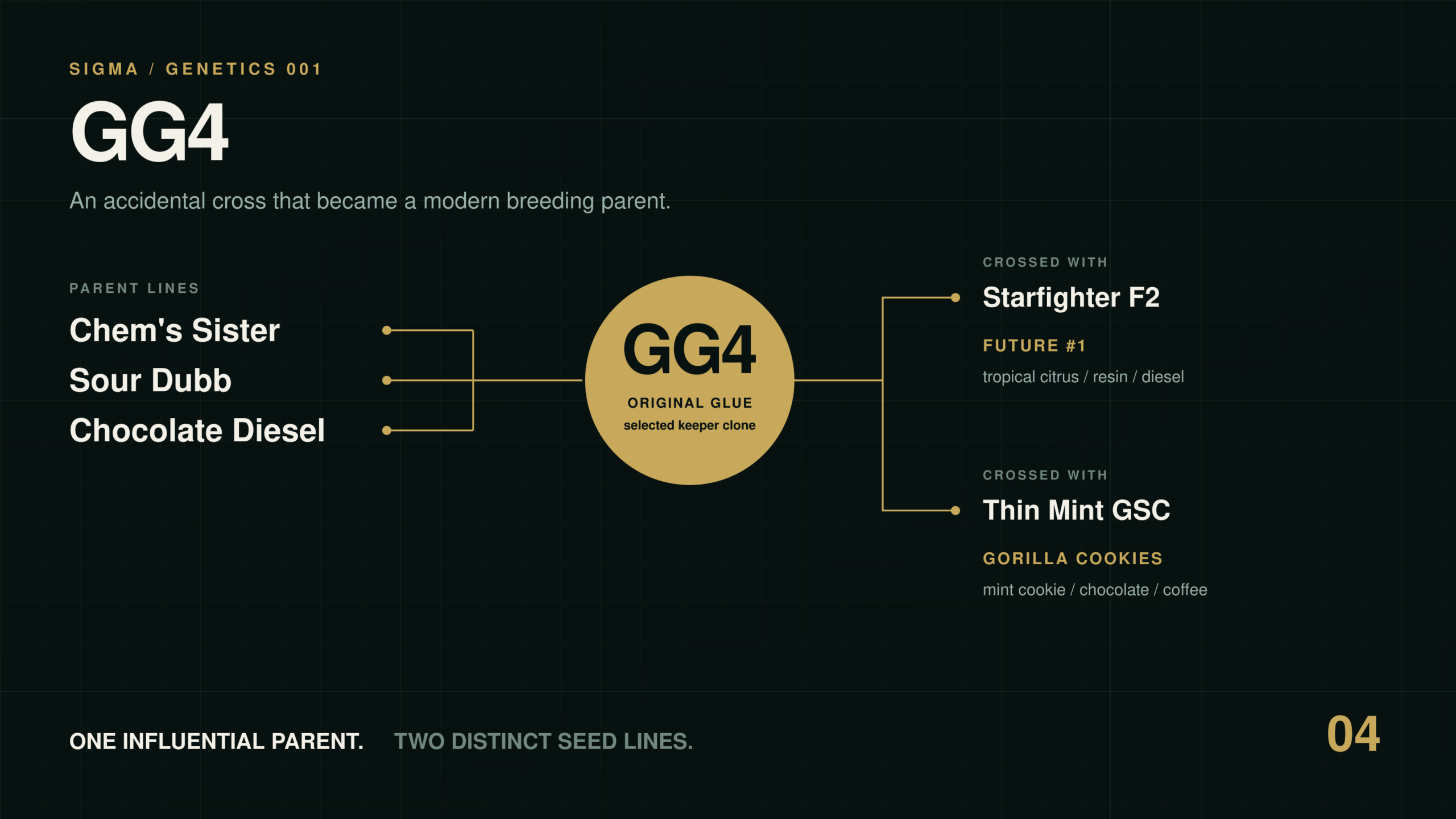 GG4 genetics map showing Chem’s Sister, Sour Dubb and Chocolate Diesel leading to Future #1 and Gorilla Cookies